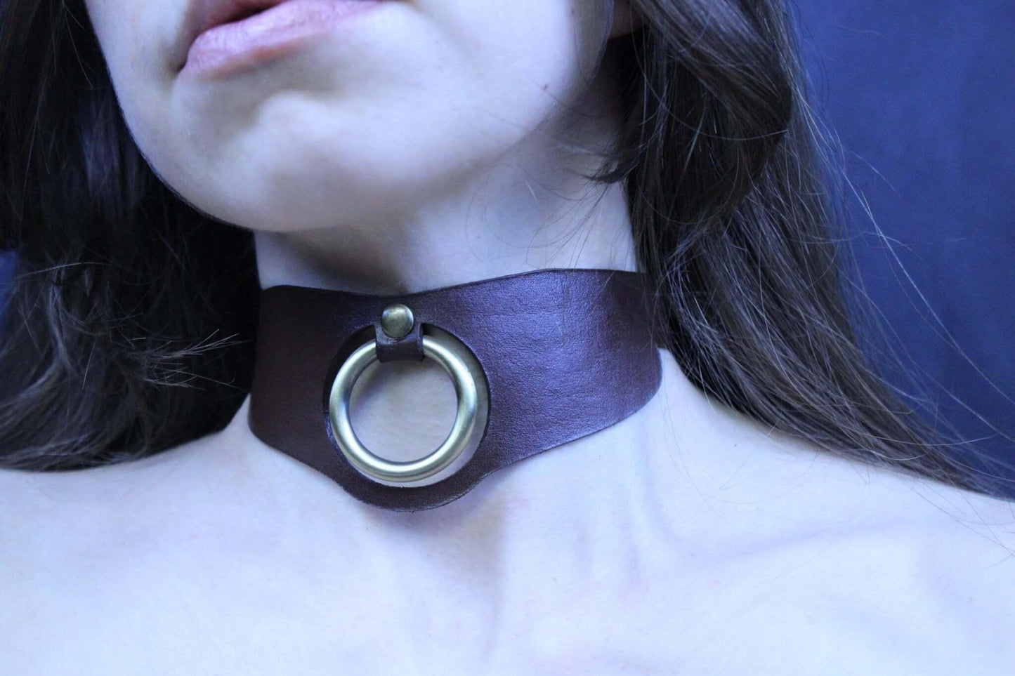 Minimalist BDSM collar Leather Posture Choker with O-Ring - Happytoys Sexshop: online sex shop for Feeling Happy & Easy 😊 - Discreet geleverd