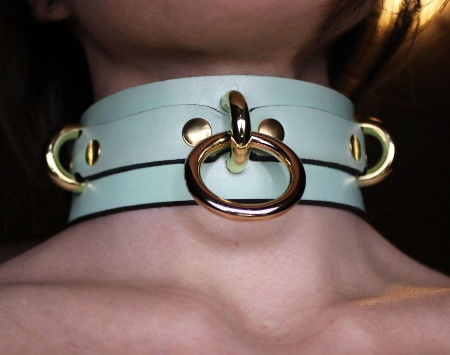Posture Collar with Gold O-Ring  BDSM Choker for Submissive Bondage