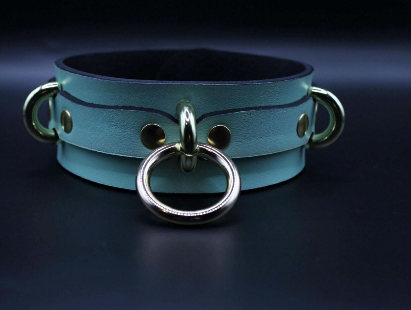 Posture Collar with Gold O-Ring  BDSM Choker for Submissive Bondage