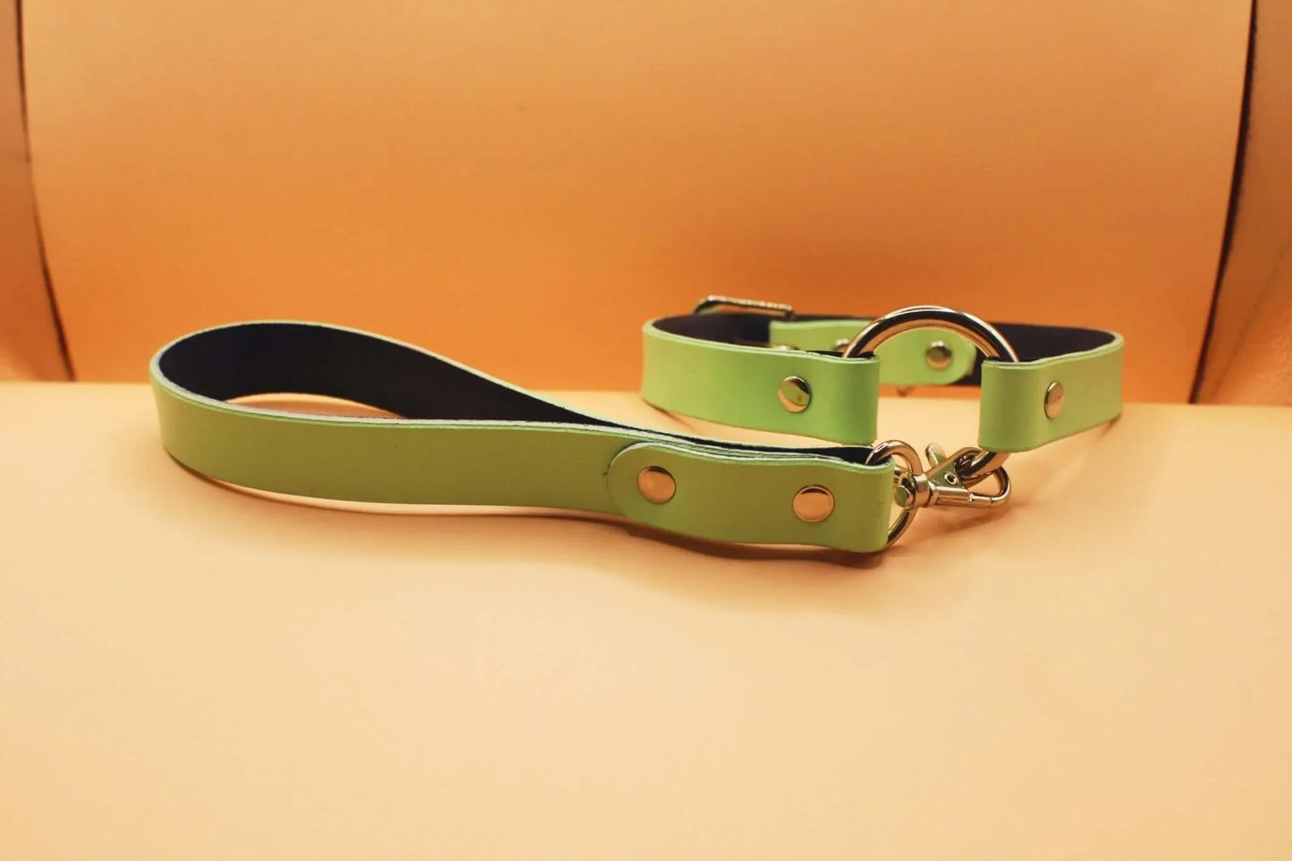 Discreet BDSM Collar Set with Leash - Discreet Day Collar - Happytoys Sexshop: online sex shop for Feeling Happy & Easy 😊 - Discreet geleverd