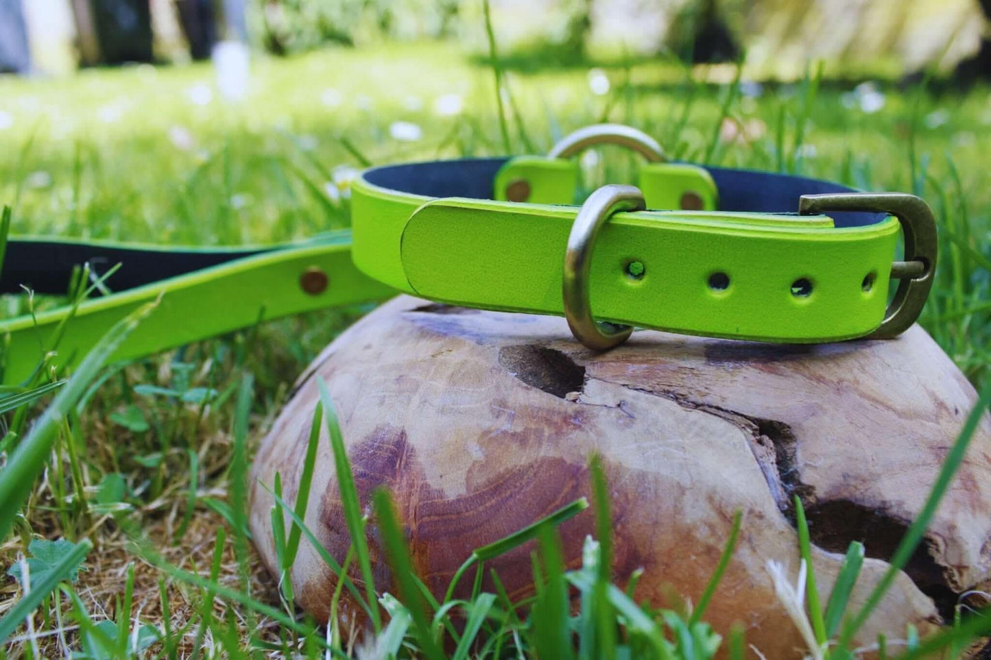 Day Collar Neon Green BDSM Collar with Leash - Leather Choker - Happytoys Sexshop: online sex shop for Feeling Happy & Easy 😊 - Discreet geleverd