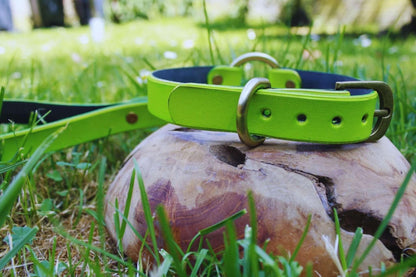 Day Collar Neon Green BDSM Collar with Leash - Leather Choker - Happytoys Sexshop: online sex shop for Feeling Happy & Easy 😊 - Discreet geleverd