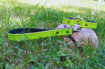 Day Collar Neon Green BDSM Collar with Leash - Leather Choker - Happytoys Sexshop: online sex shop for Feeling Happy & Easy 😊 - Discreet geleverd