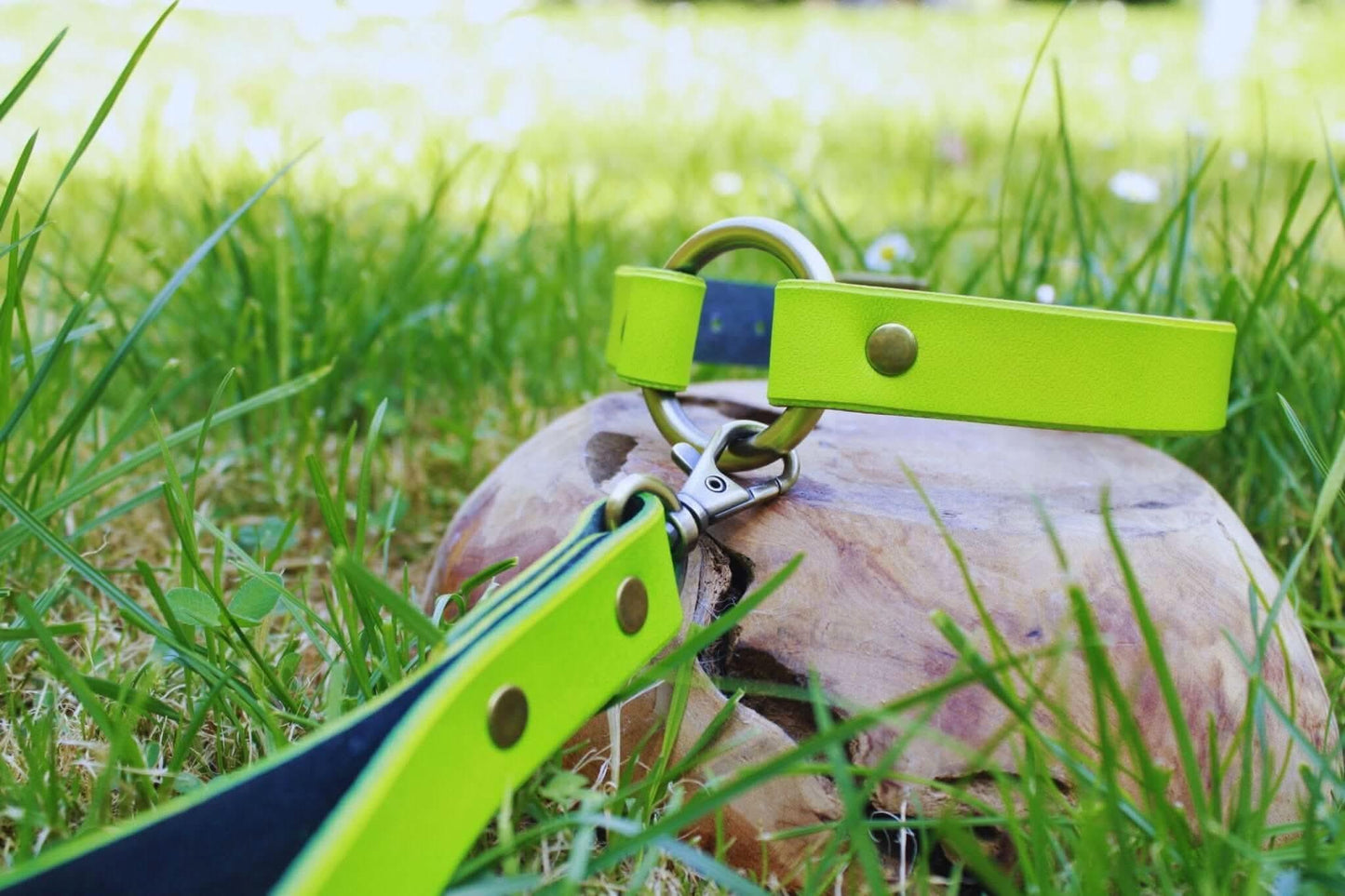 Day Collar Neon Green BDSM Collar with Leash - Leather Choker - Happytoys Sexshop: online sex shop for Feeling Happy & Easy 😊 - Discreet geleverd