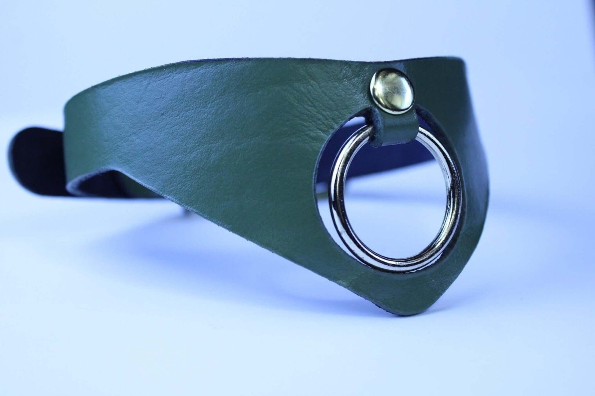 Posture Collar with Bold O-Ring | BDSM Day Collar for Submissives - Happytoys Sexshop: online sex shop for Feeling Happy & Easy 😊 - Discreet geleverd