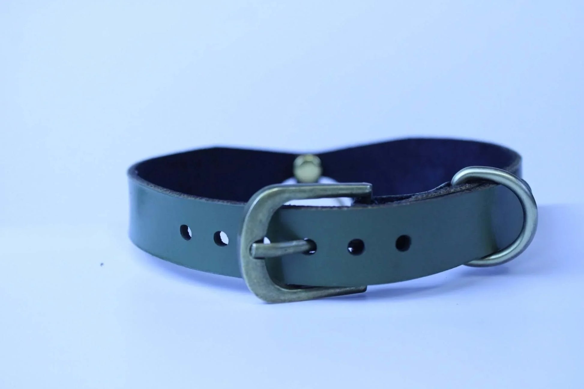 Posture Collar with Bold O-Ring | BDSM Day Collar for Submissives - Happytoys Sexshop: online sex shop for Feeling Happy & Easy 😊 - Discreet geleverd