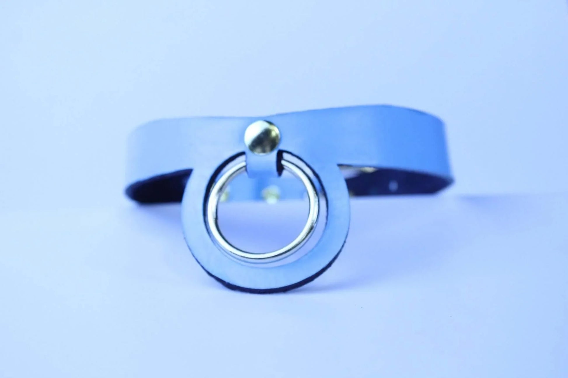 Pastel Blue BDSM Collar BDSM Submissive Jewelry Petplay Accessory - Happytoys Sexshop: online sex shop for Feeling Happy & Easy 😊 - Discreet geleverd