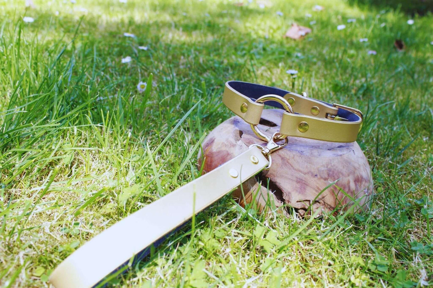 Choker Collar Elegant Pearl Gold Leather Day Collar Discreet Choker - Happytoys Sexshop: online sex shop for Feeling Happy & Easy 😊 - Discreet geleverd