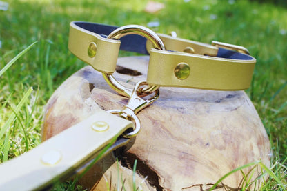 Choker Collar Elegant Pearl Gold Leather Day Collar Discreet Choker - Happytoys Sexshop: online sex shop for Feeling Happy & Easy 😊 - Discreet geleverd