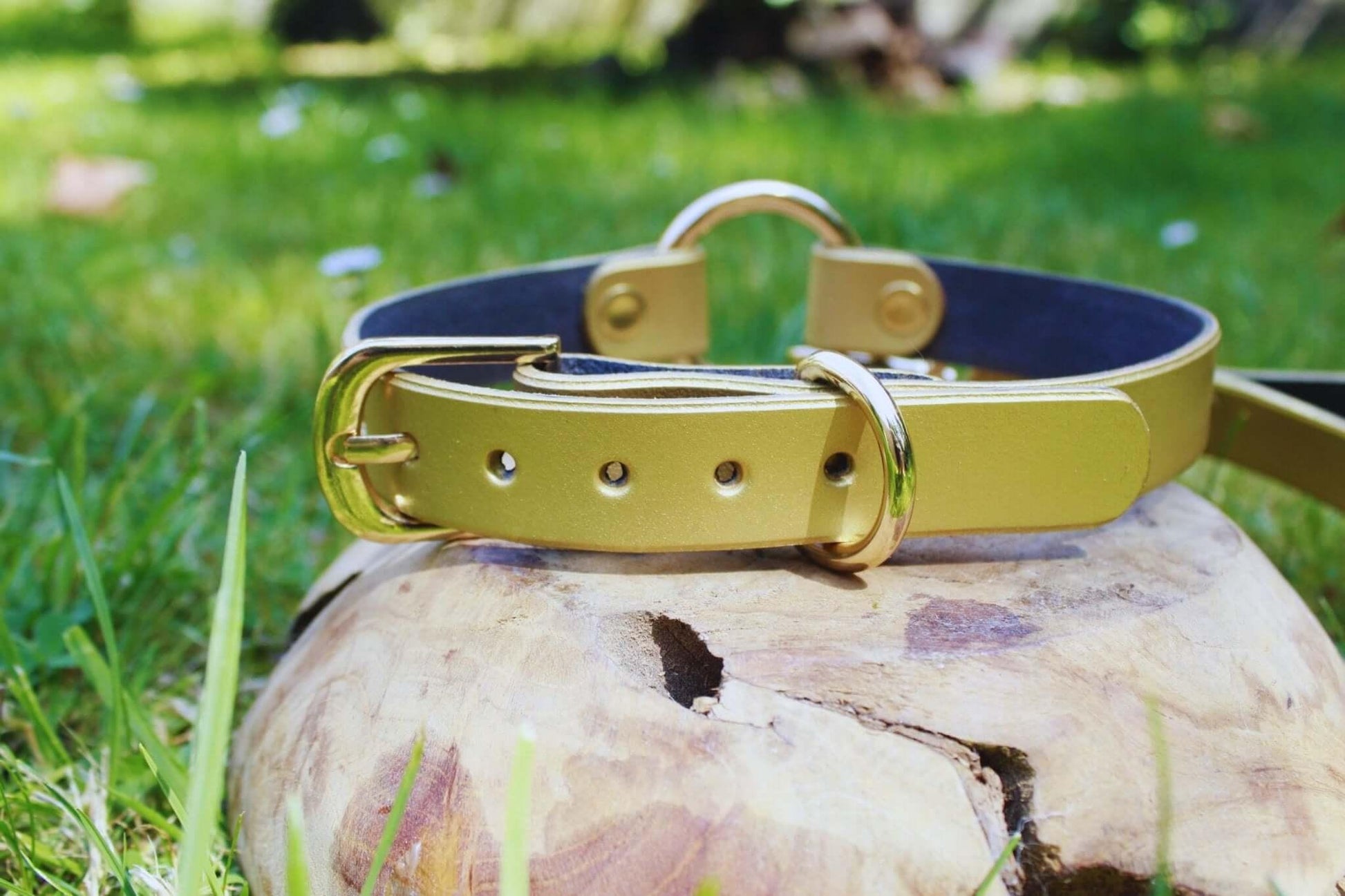 Choker Collar Elegant Pearl Gold Leather Day Collar Discreet Choker - Happytoys Sexshop: online sex shop for Feeling Happy & Easy 😊 - Discreet geleverd