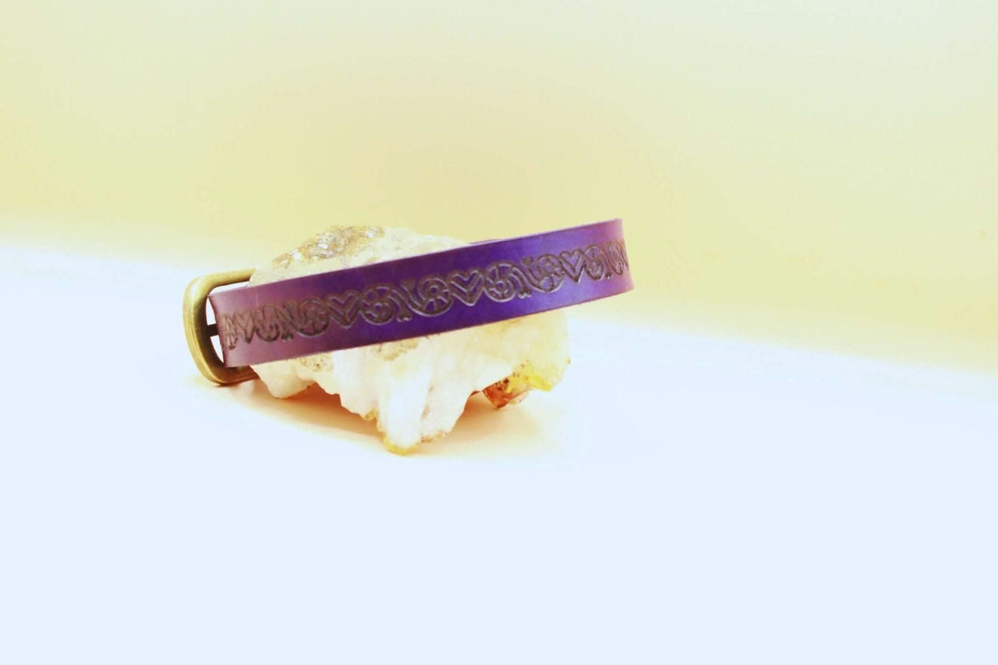 Day Collar Purple Leather Submissive Collar Discreet BDSM Choker - Happytoys Sexshop: online sex shop for Feeling Happy & Easy 😊 - Discreet geleverd