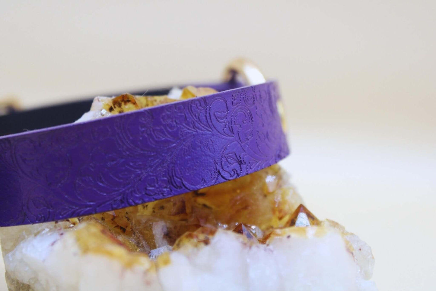 Submissive Collar Purple O-Ring | Choker Collar | Submissive Jewelry - Happytoys Sexshop: online sex shop for Feeling Happy & Easy 😊 - Discreet geleverd