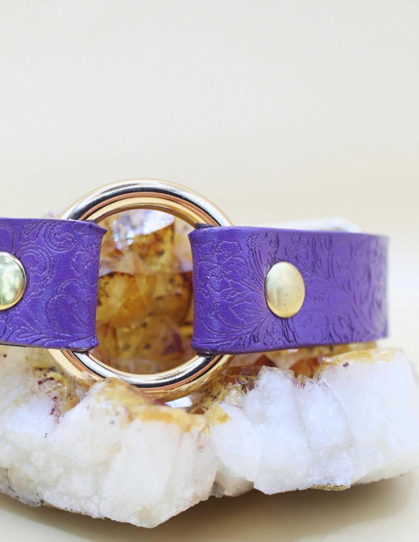 Submissive Collar Purple O-Ring | Choker Collar | Submissive Jewelry - Happytoys Sexshop: online sex shop for Feeling Happy & Easy 😊 - Discreet geleverd