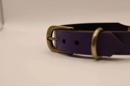 Submissive Collar Purple Leather Pet Play Collar | Submissive Jewelry - Happytoys Sexshop: online sex shop for Feeling Happy & Easy 😊 - Discreet geleverd