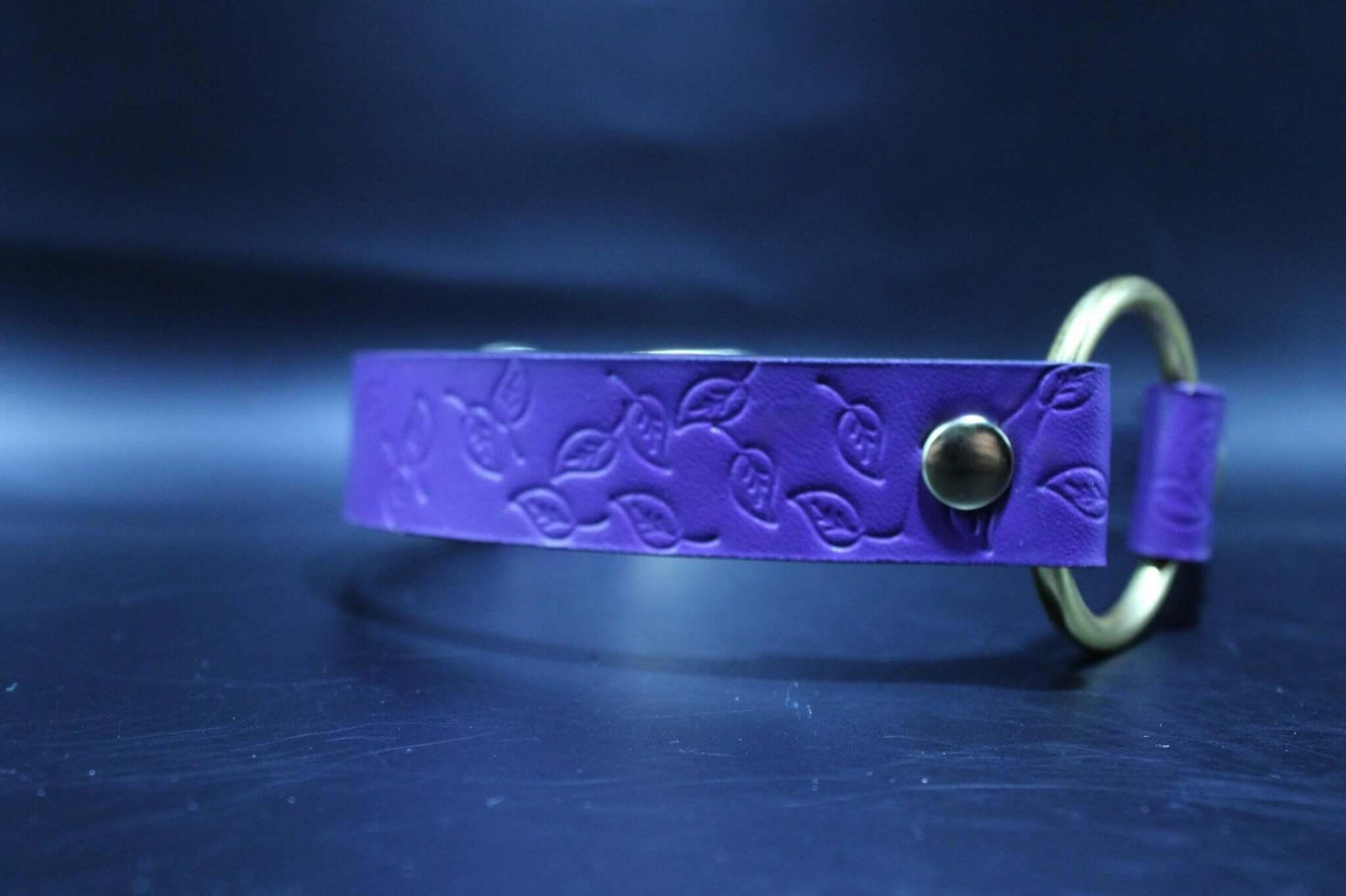 Day Collar Purple BDSM Collar with Brass Ring Elegant Slave Collar - Happytoys Sexshop: online sex shop for Feeling Happy & Easy 😊 - Discreet geleverd