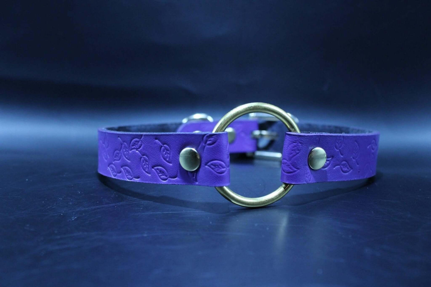 Day Collar Purple BDSM Collar with Brass Ring Elegant Slave Collar - Happytoys Sexshop: online sex shop for Feeling Happy & Easy 😊 - Discreet geleverd