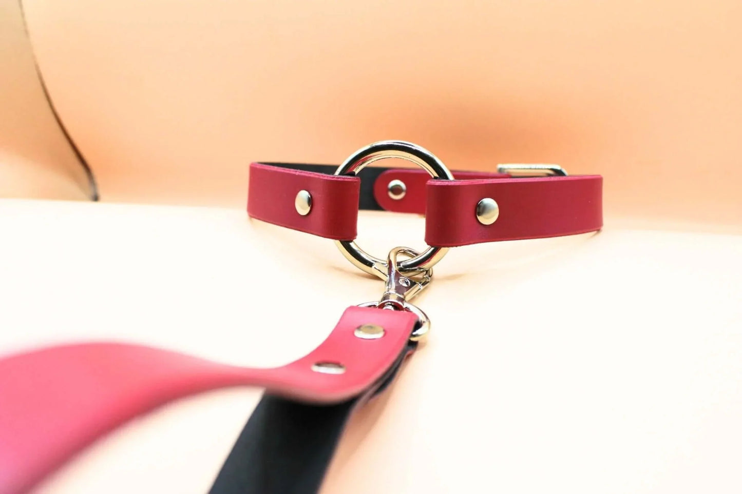 Choker Collar Raspberry Leather Choker with Leash Discreet BDSM Collar - Happytoys Sexshop: online sex shop for Feeling Happy & Easy 😊 - Discreet geleverd