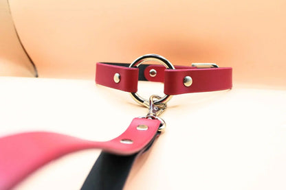 Choker Collar Raspberry Leather Choker with Leash Discreet BDSM Collar - Happytoys Sexshop: online sex shop for Feeling Happy & Easy 😊 - Discreet geleverd