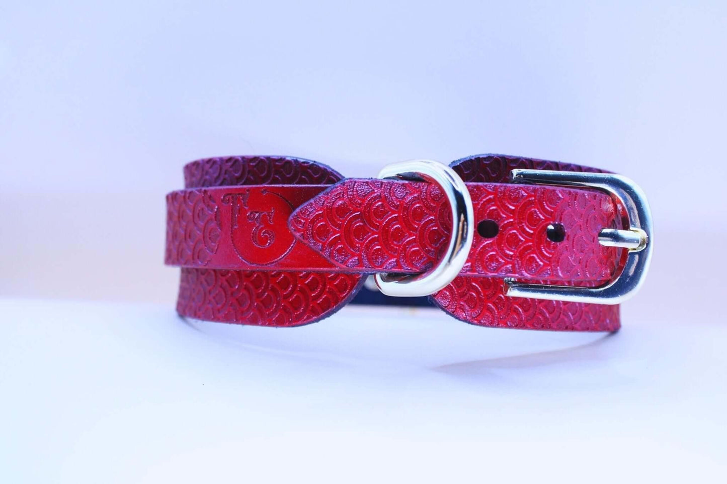 Submissive Collar Red Leather O-Ring | Deep Pattern BDSM Slave Collar - Happytoys Sexshop: online sex shop for Feeling Happy & Easy 😊 - Discreet geleverd