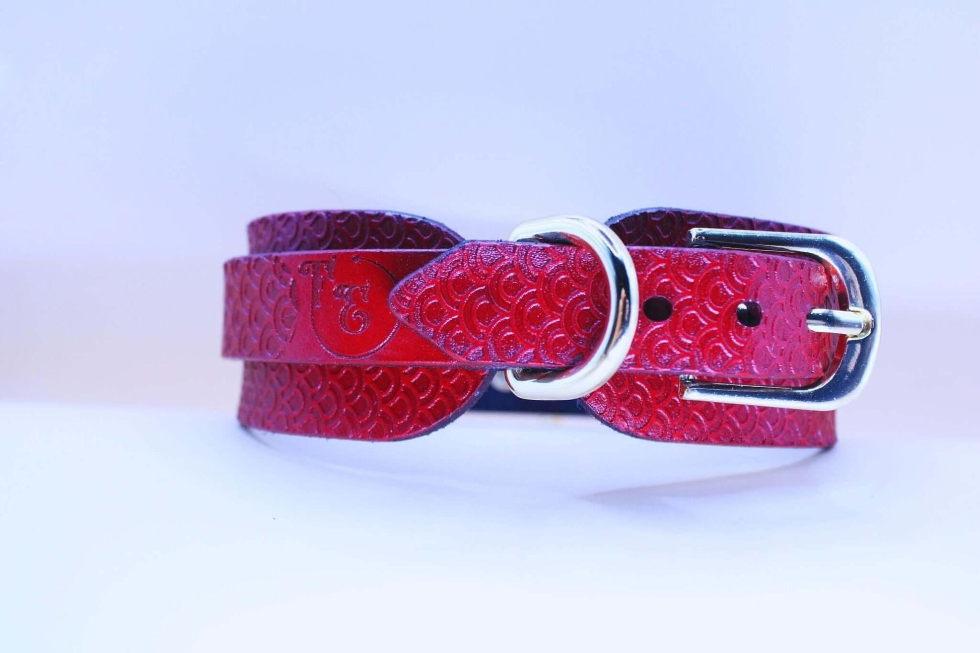 Submissive Collar Red Leather O-Ring | Deep Pattern BDSM Slave Collar - Happytoys Sexshop: online sex shop for Feeling Happy & Easy 😊 - Discreet geleverd
