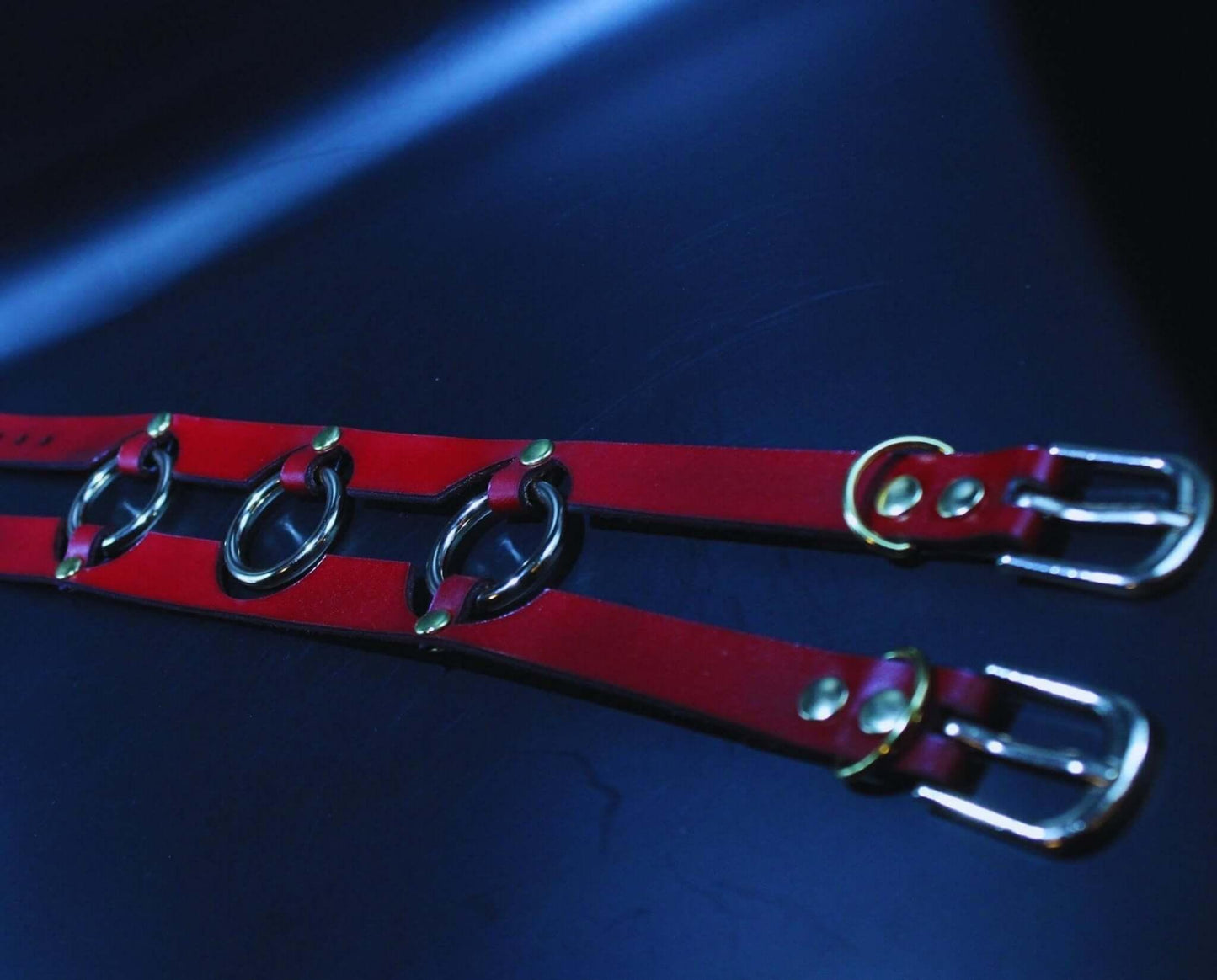 Red Leather Slave Collar Bold Statement BDSM Jewelry - Happytoys Sexshop: online sex shop for Feeling Happy & Easy 😊 - Discreet geleverd
