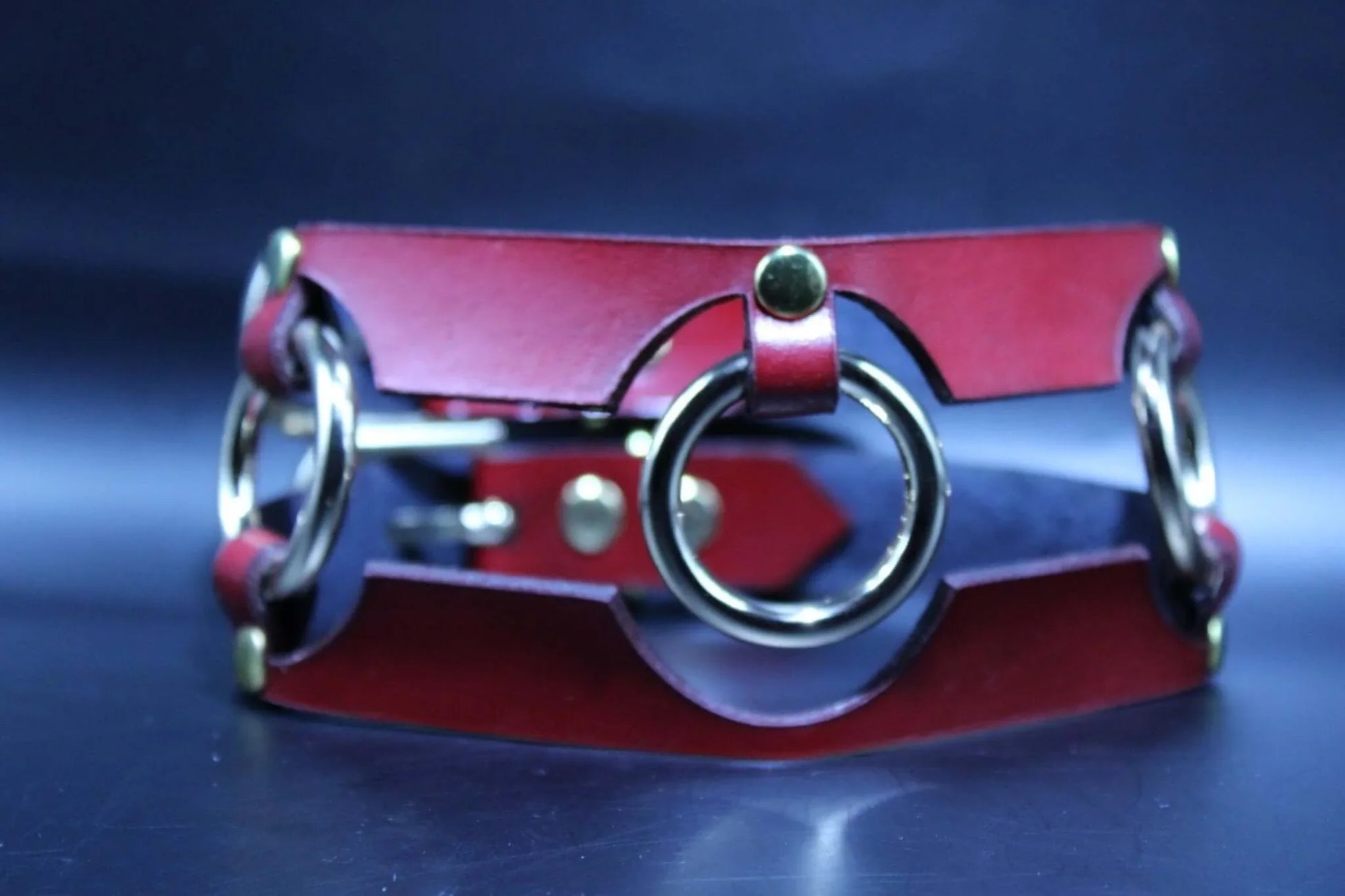 Red Leather Slave Collar Bold Statement BDSM Jewelry - Happytoys Sexshop: online sex shop for Feeling Happy & Easy 😊 - Discreet geleverd