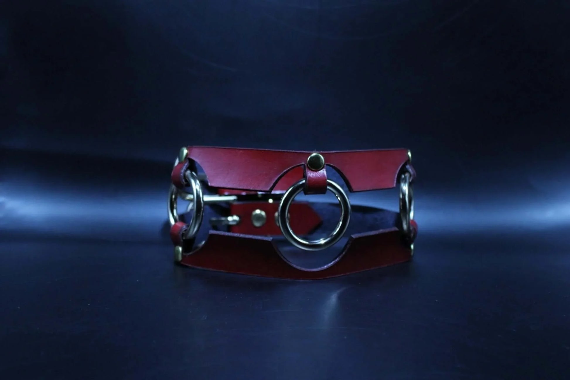 Red Leather Slave Collar Bold Statement BDSM Jewelry - Happytoys Sexshop: online sex shop for Feeling Happy & Easy 😊 - Discreet geleverd