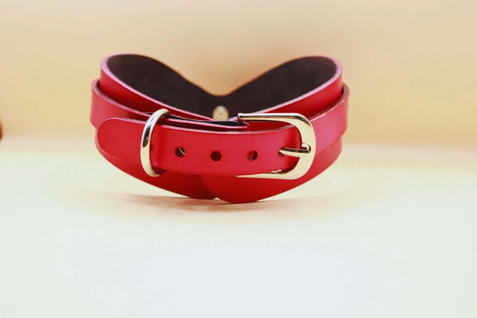 BDSM Collar for Petplay Discreet BDSM Jewelry for Submissives - Happytoys Sexshop: online sex shop for Feeling Happy & Easy 😊 - Discreet geleverd